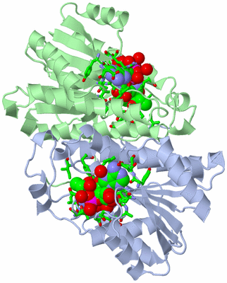 Image Asym./Biol. Unit - sites