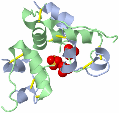 Image Biological Unit 2