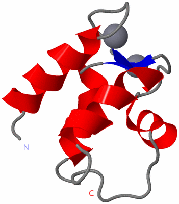 Image NMR Structure - model 1