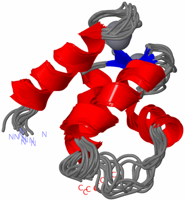 Image NMR Structure - all models