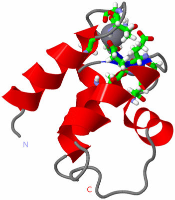 Image NMR Structure - model 1, sites