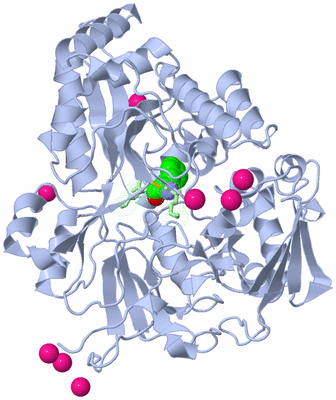 Image Asym./Biol. Unit