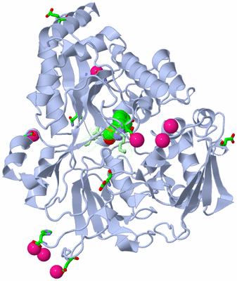 Image Asym./Biol. Unit - sites