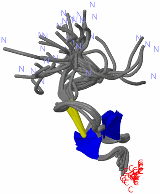 Image NMR Structure - all models