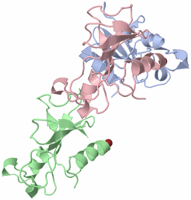 Image Asymmetric Unit