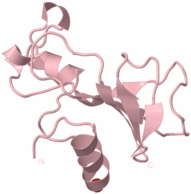 Image Biological Unit 3