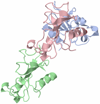 Image Asymmetric Unit