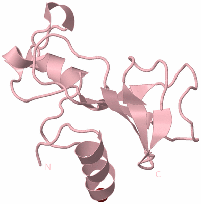 Image Biological Unit 3