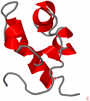 Image NMR Structure - model 1