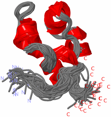 Image NMR Structure - all models