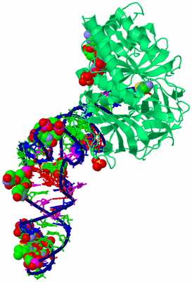 Image Asym./Biol. Unit