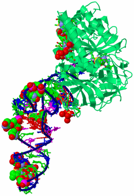 Image Asym./Biol. Unit - sites