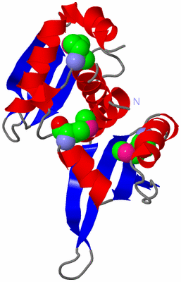 Image Asym./Biol. Unit
