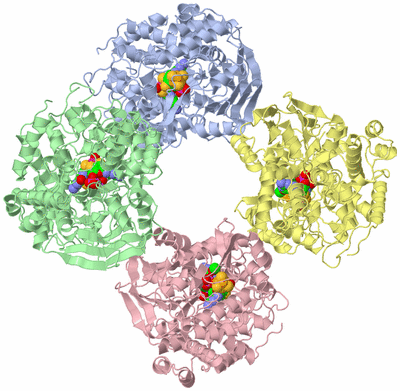Image Asym./Biol. Unit