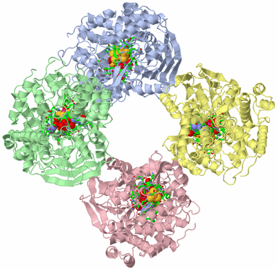 Image Asym./Biol. Unit - sites