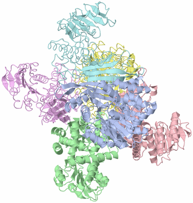 Image Asym./Biol. Unit