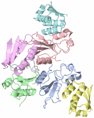 Image Asymmetric Unit