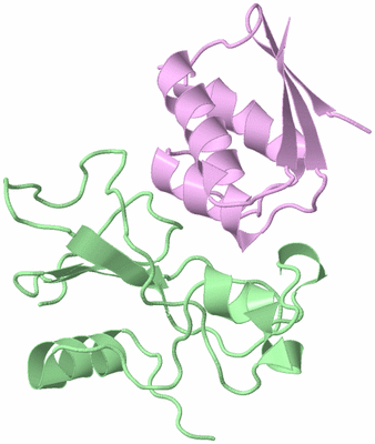Image Biological Unit 2