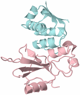 Image Biological Unit 3