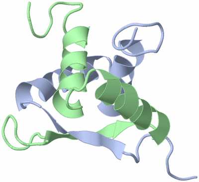 Image NMR Structure - model 1