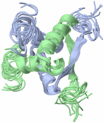 Image NMR Structure - all models