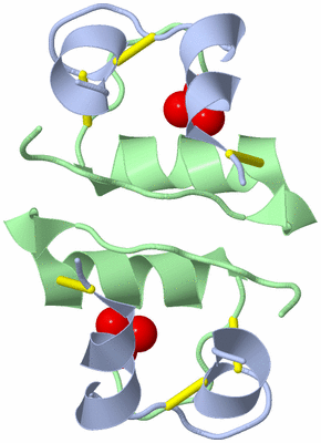 Image Biological Unit 3