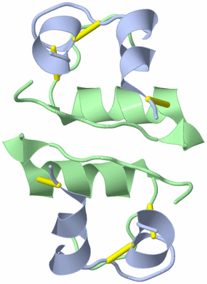 Image Biological Unit 2