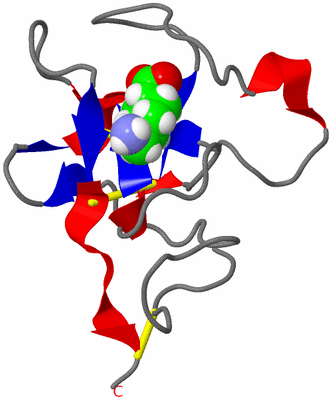 Image NMR Structure - model 1