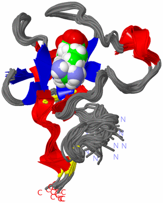 Image NMR Structure - all models