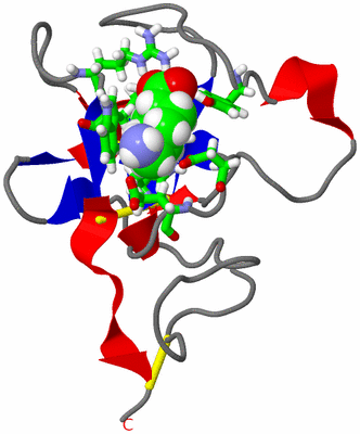 Image NMR Structure - model 1, sites