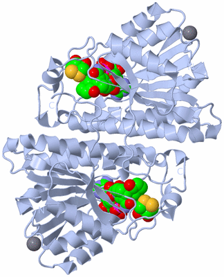 Image Biological Unit 1