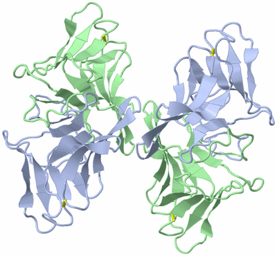 Image Biological Unit 1