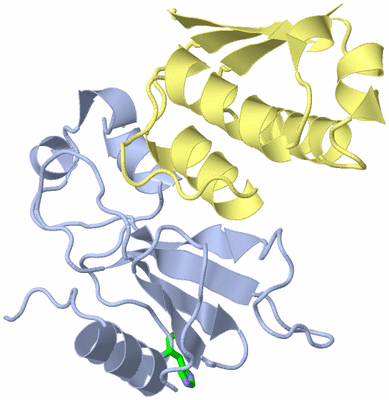 Image Biol. Unit 1 - sites