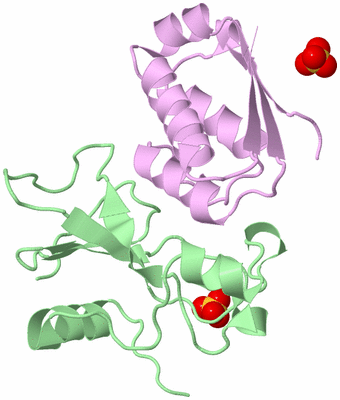 Image Biological Unit 2