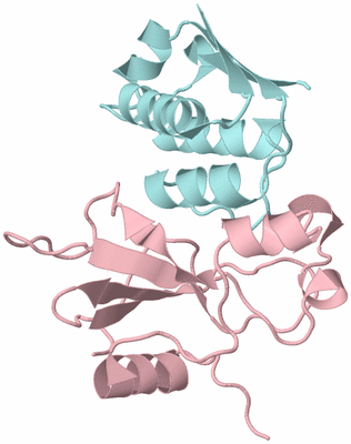 Image Biological Unit 3