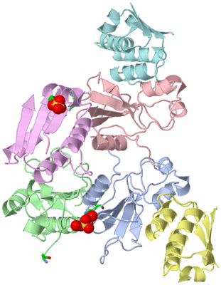 Image Asym. Unit - sites