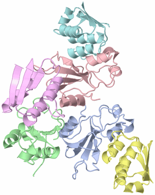 Image Asymmetric Unit