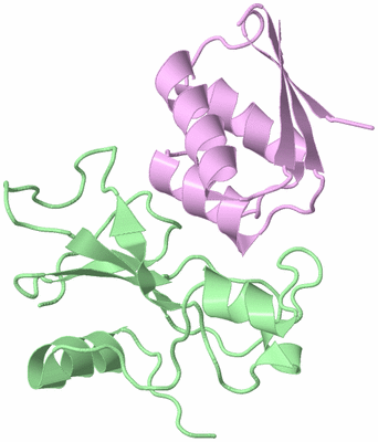 Image Biological Unit 2