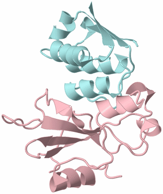 Image Biological Unit 3