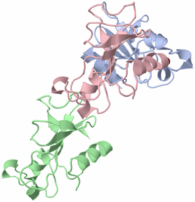 Image Asymmetric Unit