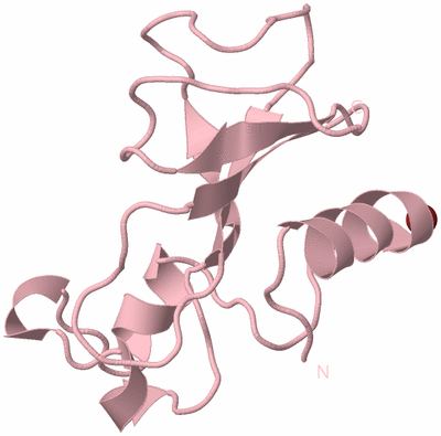 Image Biological Unit 3