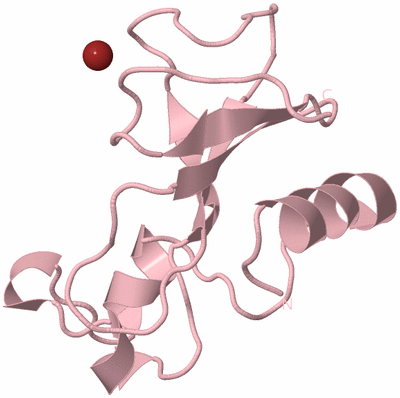Image Biological Unit 3