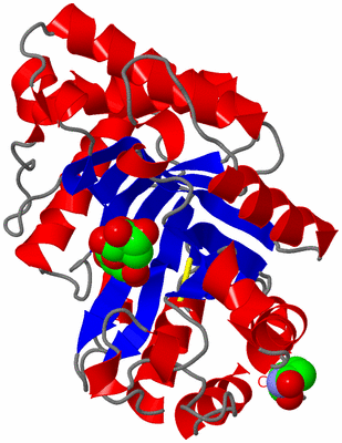 Image Asym./Biol. Unit