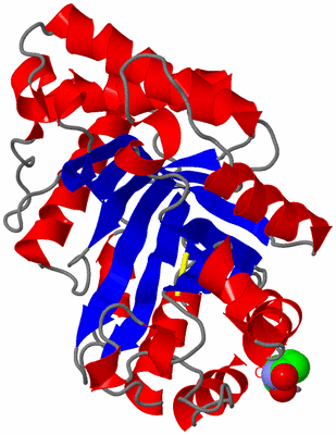 Image Asym./Biol. Unit