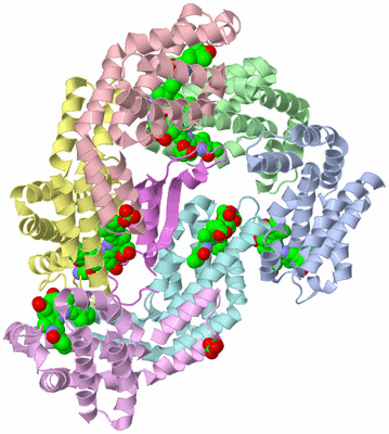 Image Biological Unit 1