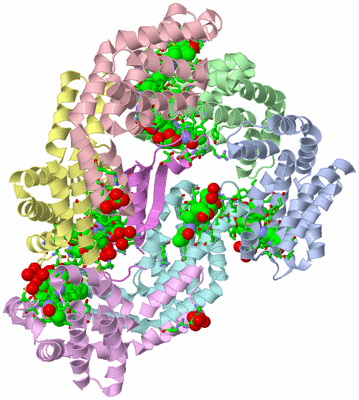 Image Biol. Unit 1 - sites