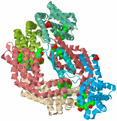 Image Biological Unit 2