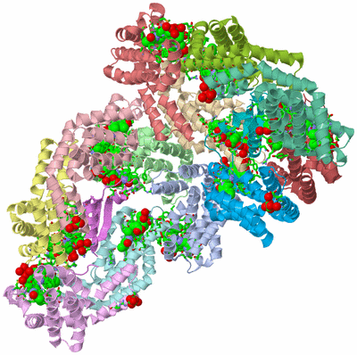 Image Asym. Unit - sites