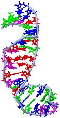 Image NMR Structure - model 1