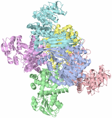 Image Asym./Biol. Unit